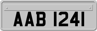 AAB1241