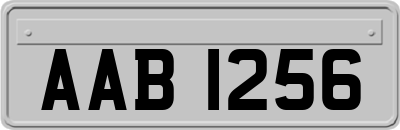 AAB1256