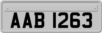 AAB1263