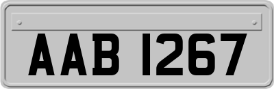 AAB1267