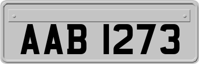 AAB1273