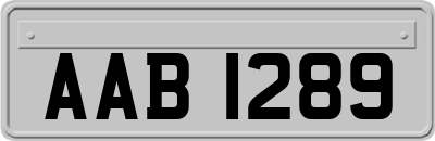 AAB1289