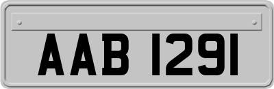 AAB1291