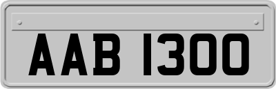 AAB1300