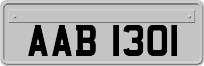 AAB1301