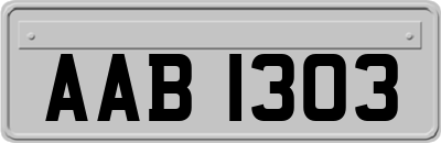 AAB1303