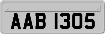 AAB1305