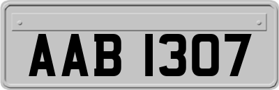 AAB1307