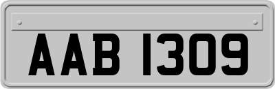 AAB1309