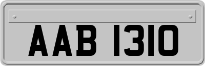 AAB1310