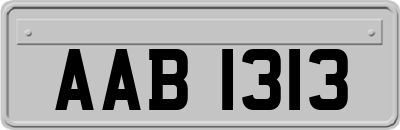 AAB1313