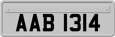 AAB1314