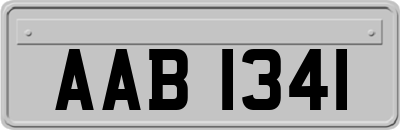 AAB1341