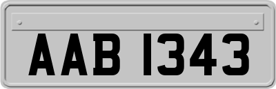 AAB1343