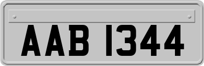 AAB1344