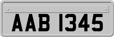 AAB1345