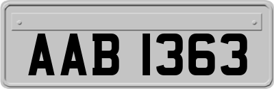 AAB1363