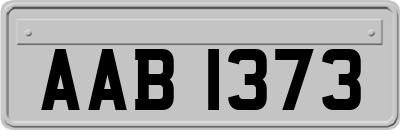 AAB1373