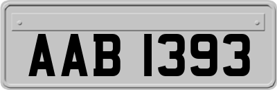 AAB1393