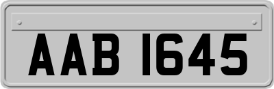 AAB1645