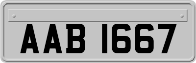 AAB1667