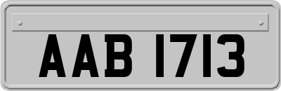 AAB1713