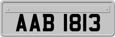 AAB1813