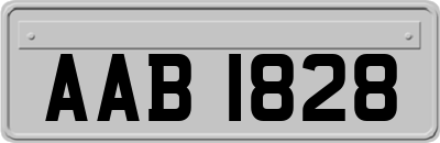 AAB1828