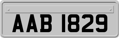 AAB1829