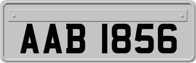 AAB1856