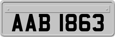 AAB1863