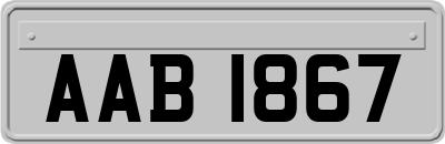 AAB1867