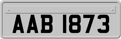 AAB1873