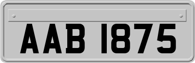 AAB1875