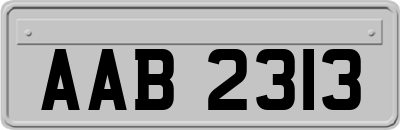 AAB2313