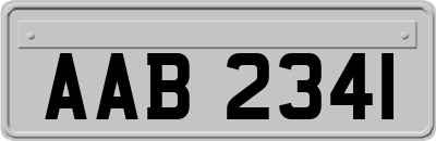 AAB2341