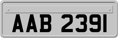 AAB2391