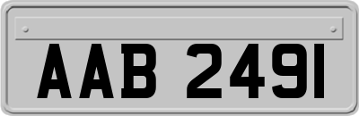 AAB2491