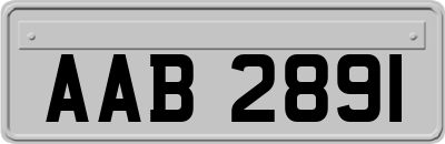 AAB2891