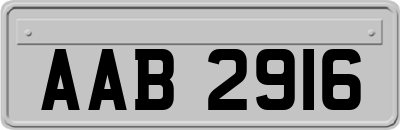 AAB2916