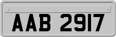 AAB2917