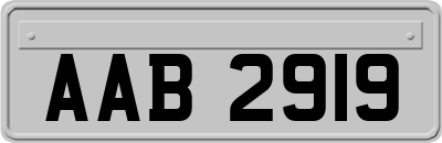 AAB2919