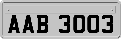 AAB3003