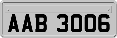 AAB3006