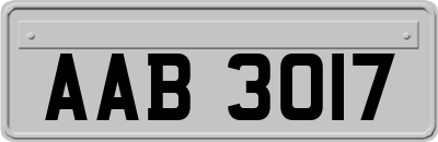 AAB3017