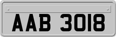 AAB3018