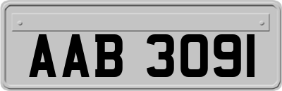 AAB3091