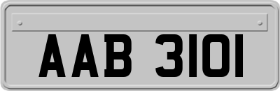 AAB3101