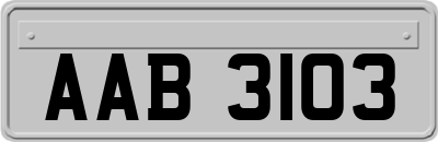 AAB3103