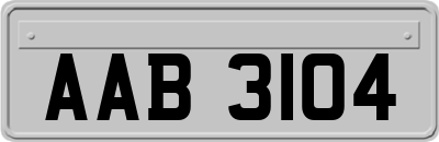 AAB3104